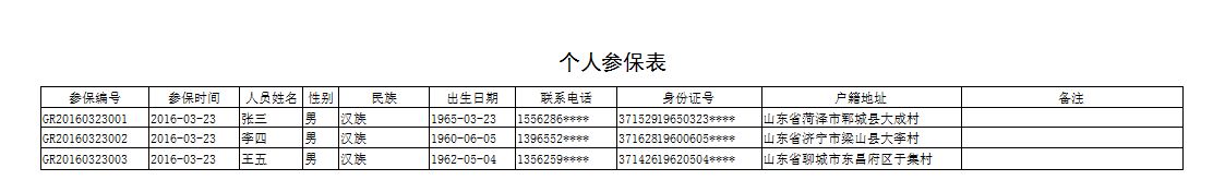 《社会养老保险管理系统简易版》报表打印格式